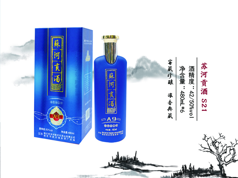 �պӹ��� S21